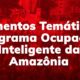 Elementos Temáticos: Programa Ocupação Inteligente da Amazônia